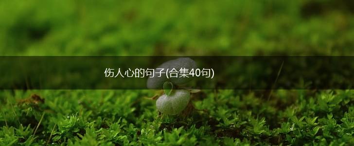 伤人心的句子(合集40句),第1张