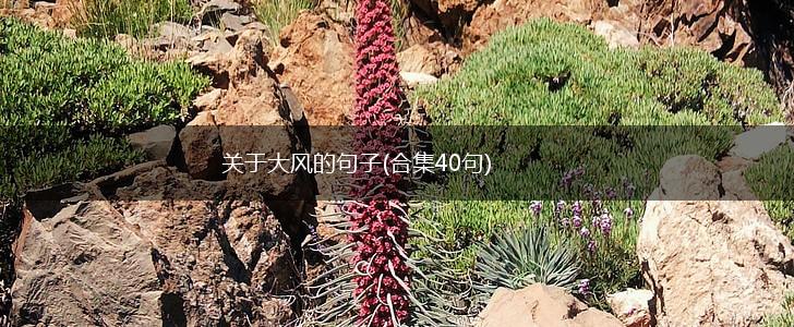 关于大风的句子(合集40句),第1张