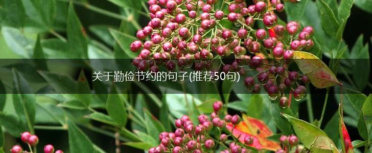 关于勤俭节约的句子(推荐50句),第1张