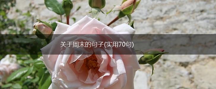 关于周末的句子(实用70句),第1张