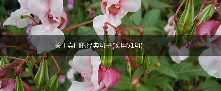 关于卖门的经典句子(实用51句),第1张