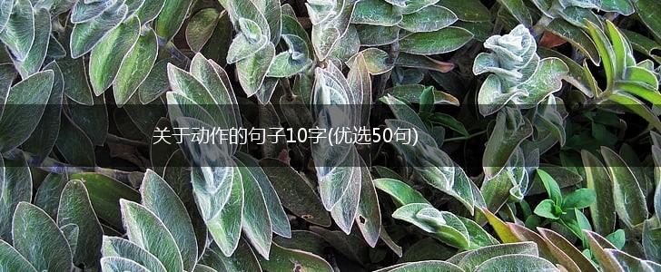 关于动作的句子10字(优选50句),第1张