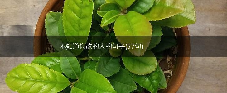 不知道悔改的人的句子(57句),第1张