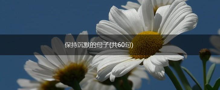 保持沉默的句子(共60句),第1张