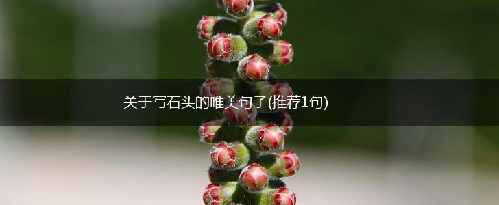 关于写石头的唯美句子(推荐1句),第1张