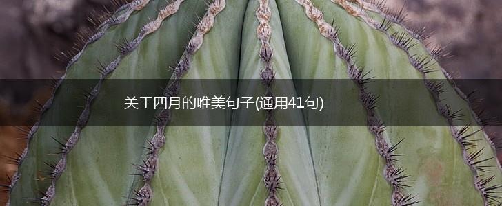 关于四月的唯美句子(通用41句),第1张