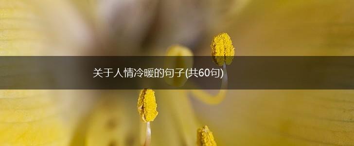 关于人情冷暖的句子(共60句),第1张