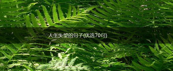 人生失望的句子(优选70句),第1张