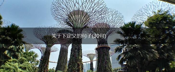 关于下定义的句子(30句),第1张