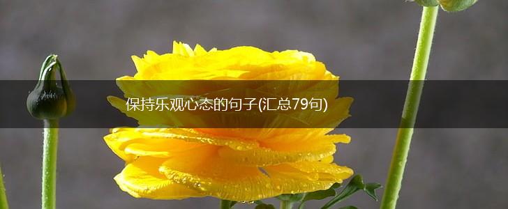 保持乐观心态的句子(汇总79句),第1张