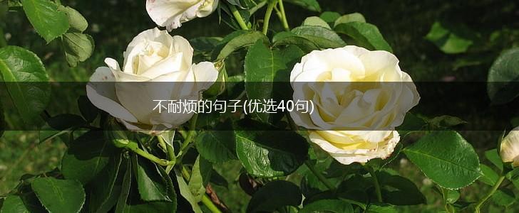 不耐烦的句子(优选40句),第1张