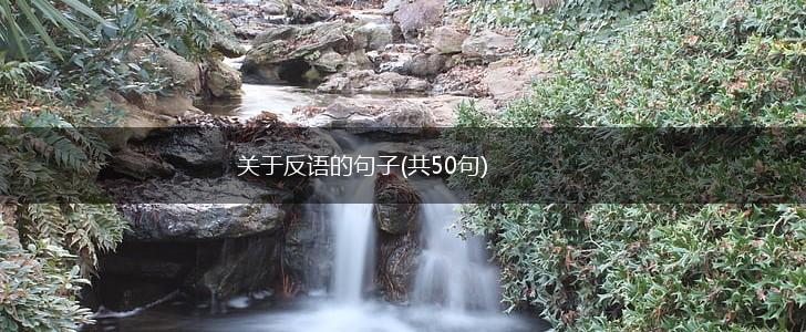 关于反语的句子(共50句),第1张