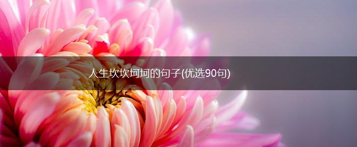 人生坎坎坷坷的句子(优选90句),第1张