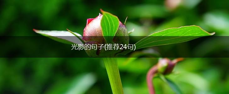 光影的句子(推荐24句),第1张