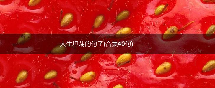 人生坦荡的句子(合集40句),第1张
