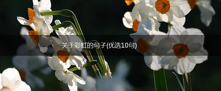 关于彩虹的句子(优选10句),第1张