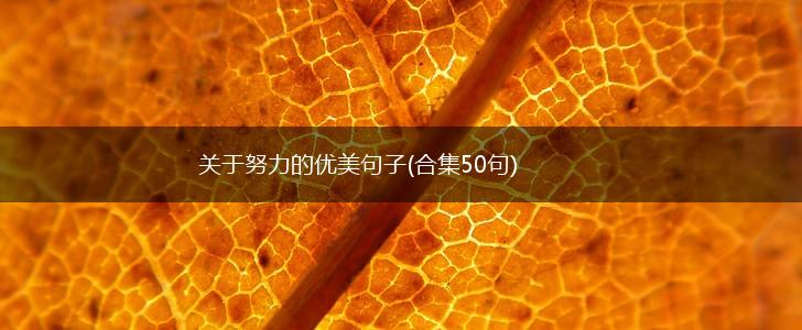 关于努力的优美句子(合集50句),第1张