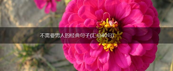 不需要男人的经典句子(汇总40句),第1张