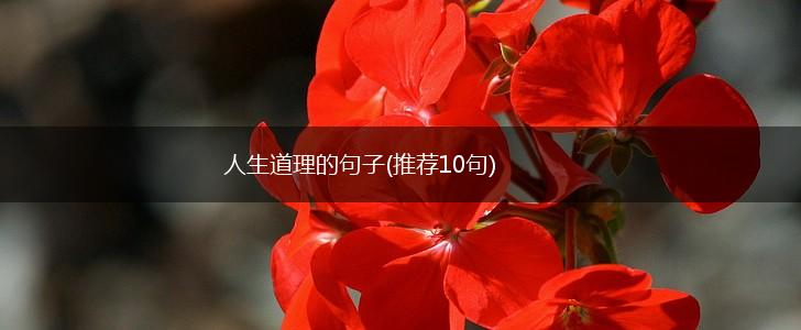 人生道理的句子(推荐10句),第1张
