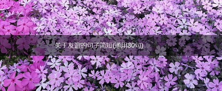 关于友谊的句子简短(通用80句),第1张