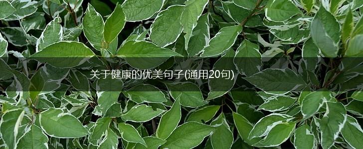 关于健康的优美句子(通用20句),第1张