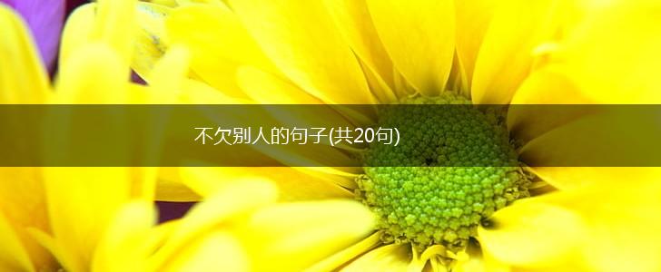 不欠别人的句子(共20句),第1张
