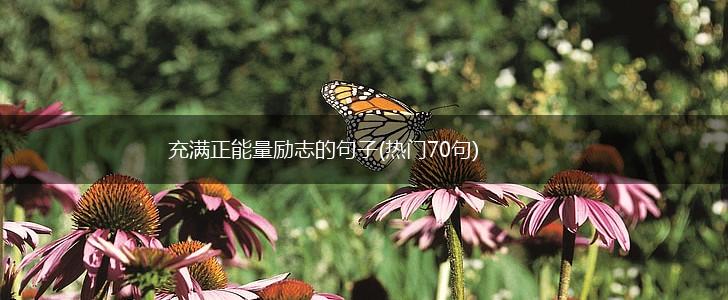 充满正能量励志的句子(热门70句),第1张