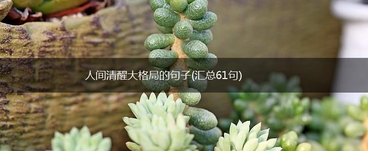 人间清醒大格局的句子(汇总61句),第1张