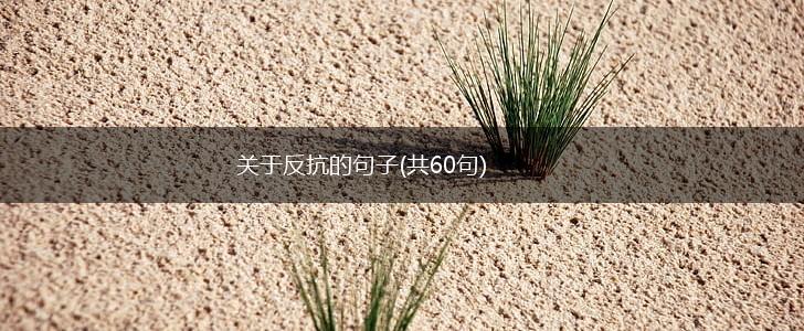 关于反抗的句子(共60句),第1张