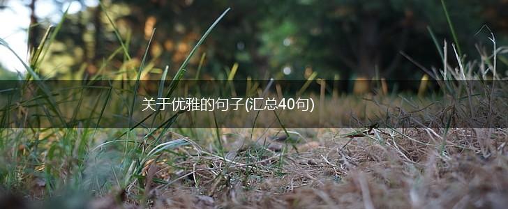 关于优雅的句子(汇总40句),第1张