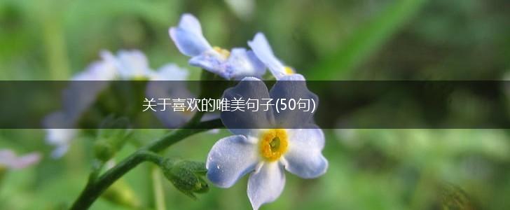 关于喜欢的唯美句子(50句),第1张