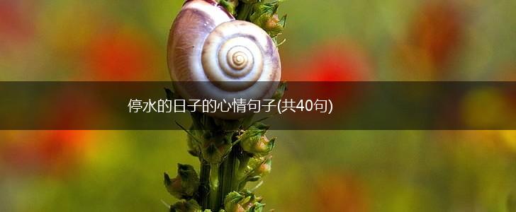 停水的日子的心情句子(共40句),第1张