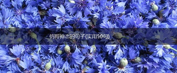仿写神态的句子(实用50句),第1张