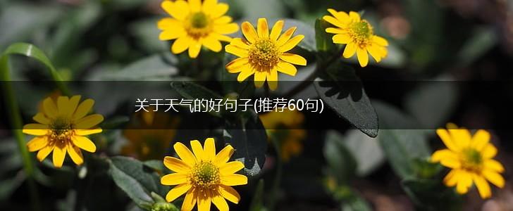 关于天气的好句子(推荐60句),第1张