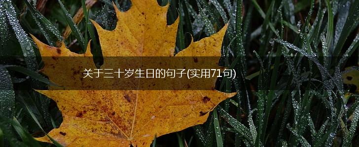 关于三十岁生日的句子(实用71句),第1张