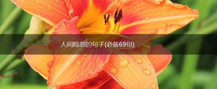 人间险恶的句子(必备69句),第1张