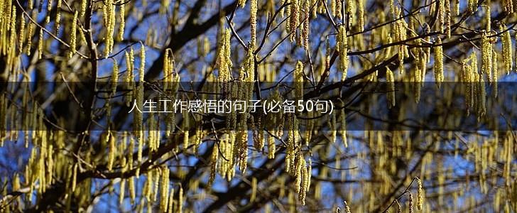 人生工作感悟的句子(必备50句),第1张