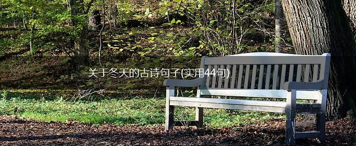 关于冬天的古诗句子(实用44句),第1张
