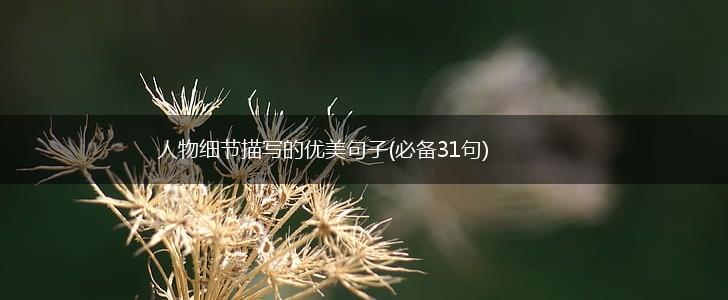 人物细节描写的优美句子(必备31句),第1张