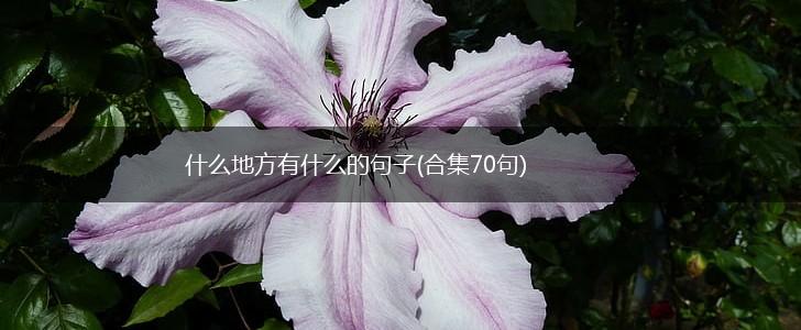 什么地方有什么的句子(合集70句),第1张
