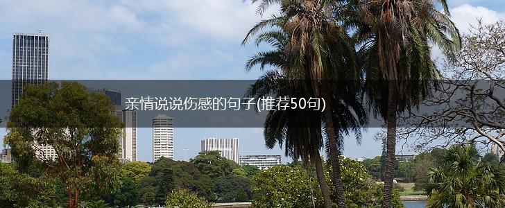 亲情说说伤感的句子(推荐50句),第1张