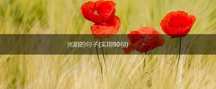 光阴的句子(实用90句),第1张