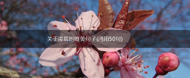 关于凌晨的唯美句子(通用50句),第1张