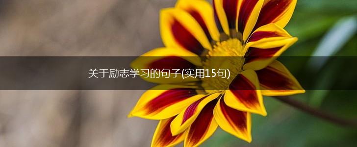关于励志学习的句子(实用15句),第1张