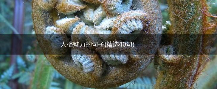 人格魅力的句子(精选40句),第1张