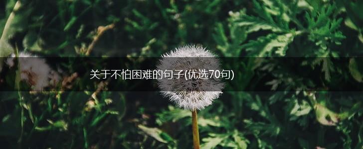关于不怕困难的句子(优选70句),第1张