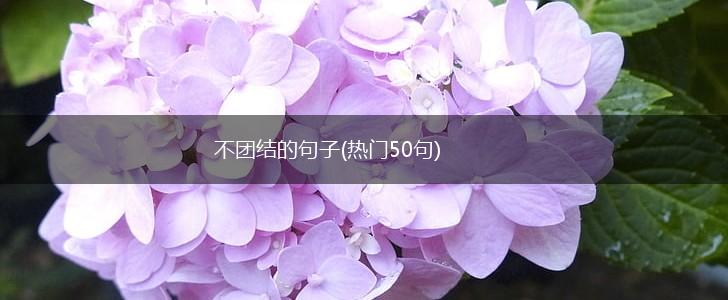 不团结的句子(热门50句),第1张