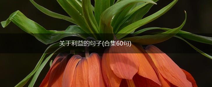 关于利益的句子(合集60句),第1张