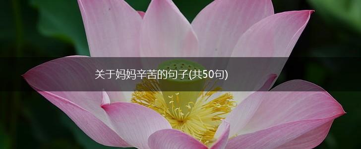 关于妈妈辛苦的句子(共50句),第1张