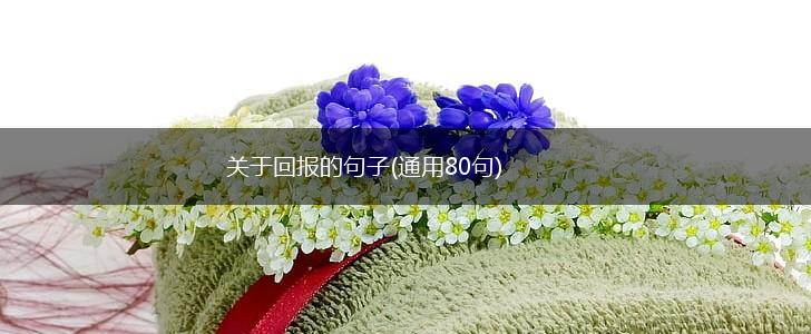 关于回报的句子(通用80句),第1张